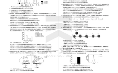 生物学齐鲁名校高三五联_2025年4月_250401山东省天一大联考&middot;齐鲁名校教研体2024-2025学年（下）高三年级第五次联考（全科）