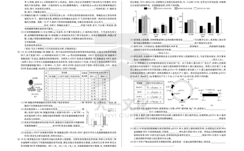 生物学齐鲁名校高三五联_2025年4月_250401山东省天一大联考&middot;齐鲁名校教研体2024-2025学年（下）高三年级第五次联考（全科）