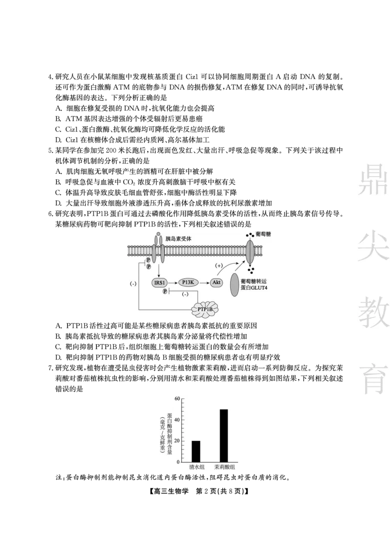 安徽省鼎尖教育2024-2025学年高三逐梦杯实验班大联考生物_2025年4月_250418安徽省鼎尖教育2024-2025学年高三逐梦杯实验班大联考（全科）