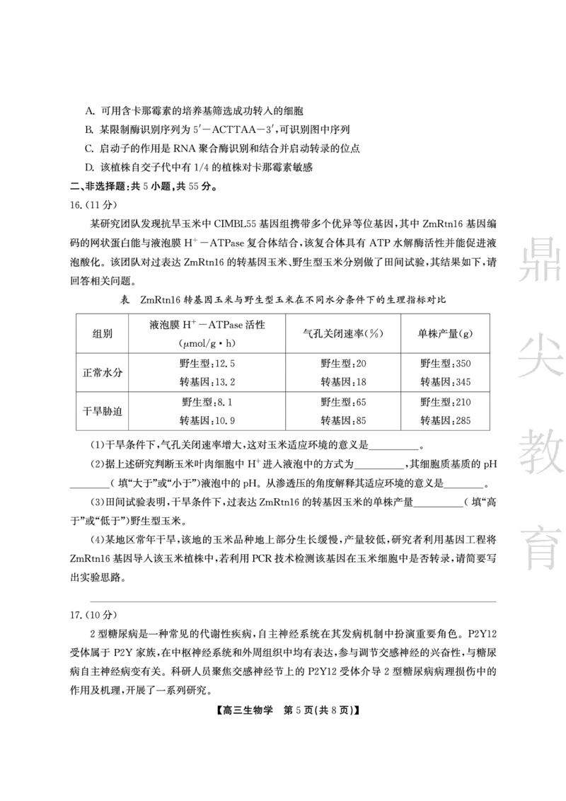 安徽省鼎尖教育2024-2025学年高三逐梦杯实验班大联考生物_2025年4月_250418安徽省鼎尖教育2024-2025学年高三逐梦杯实验班大联考（全科）