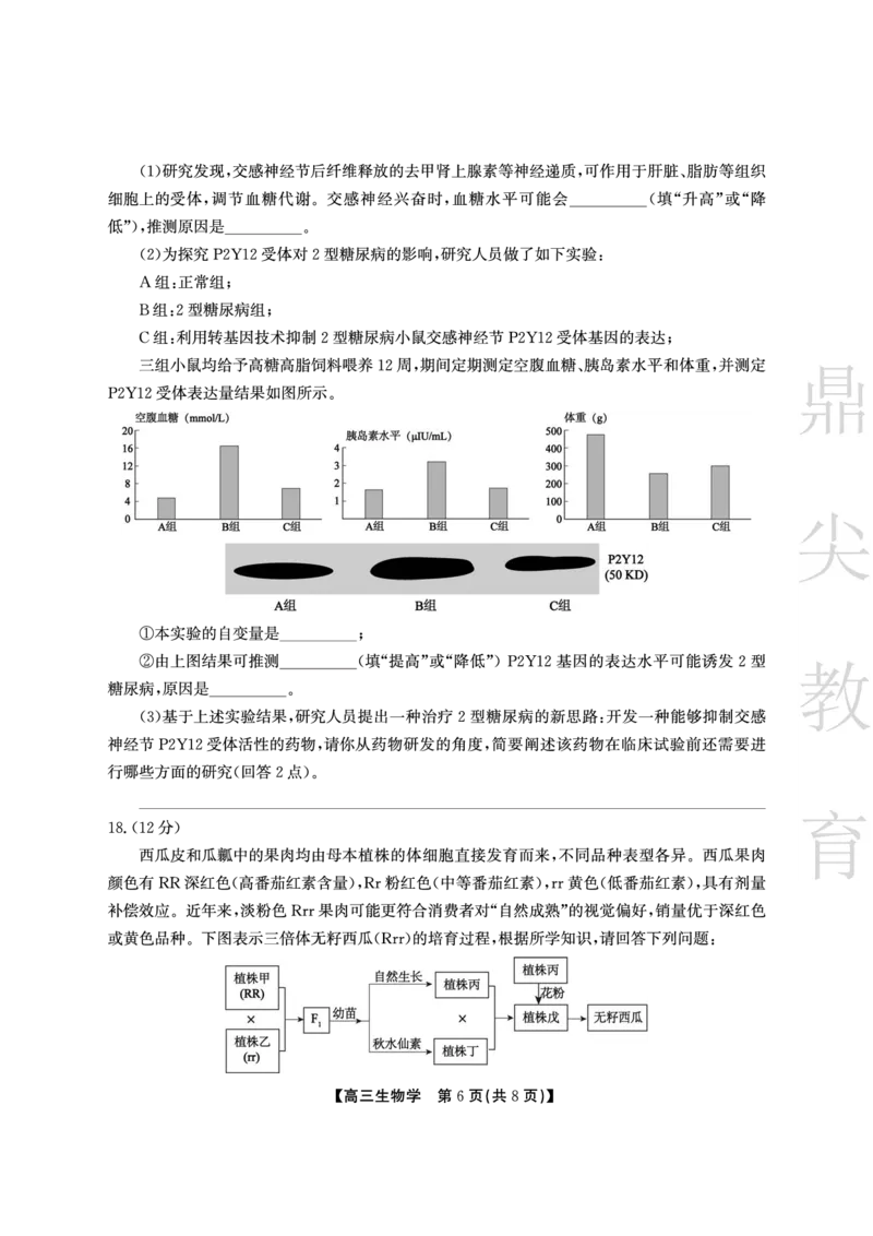 安徽省鼎尖教育2024-2025学年高三逐梦杯实验班大联考生物_2025年4月_250418安徽省鼎尖教育2024-2025学年高三逐梦杯实验班大联考（全科）