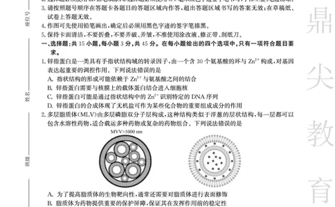 安徽省鼎尖教育2024-2025学年高三逐梦杯实验班大联考生物_2025年4月_250418安徽省鼎尖教育2024-2025学年高三逐梦杯实验班大联考（全科）