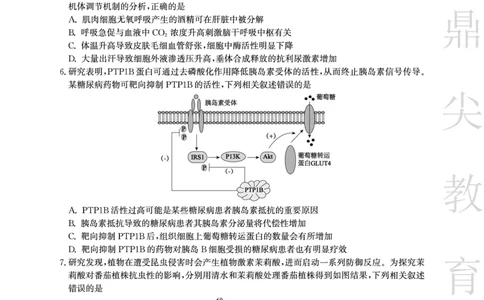 安徽省鼎尖教育2024-2025学年高三逐梦杯实验班大联考生物_2025年4月_250418安徽省鼎尖教育2024-2025学年高三逐梦杯实验班大联考（全科）