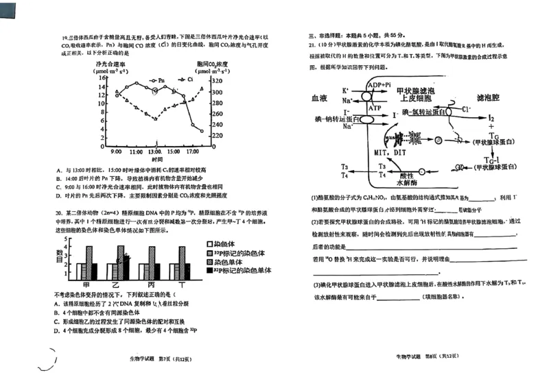 哈三中2025-2026学年度上学期高三学年第一次验收考试生物_2025年9月_250913黑龙江省哈尔滨市第三中学校2025-2026学年高三上学期9月月考（全科）