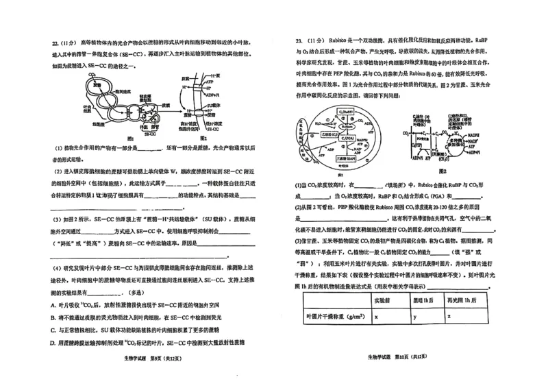 哈三中2025-2026学年度上学期高三学年第一次验收考试生物_2025年9月_250913黑龙江省哈尔滨市第三中学校2025-2026学年高三上学期9月月考（全科）
