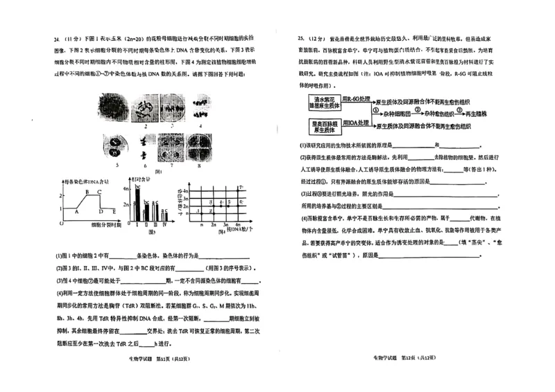 哈三中2025-2026学年度上学期高三学年第一次验收考试生物_2025年9月_250913黑龙江省哈尔滨市第三中学校2025-2026学年高三上学期9月月考（全科）
