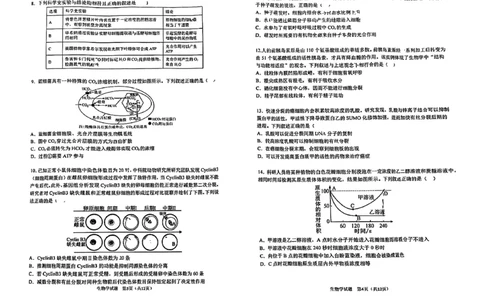 哈三中2025-2026学年度上学期高三学年第一次验收考试生物_2025年9月_250913黑龙江省哈尔滨市第三中学校2025-2026学年高三上学期9月月考（全科）