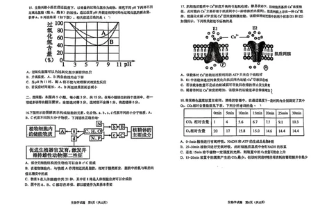 哈三中2025-2026学年度上学期高三学年第一次验收考试生物_2025年9月_250913黑龙江省哈尔滨市第三中学校2025-2026学年高三上学期9月月考（全科）