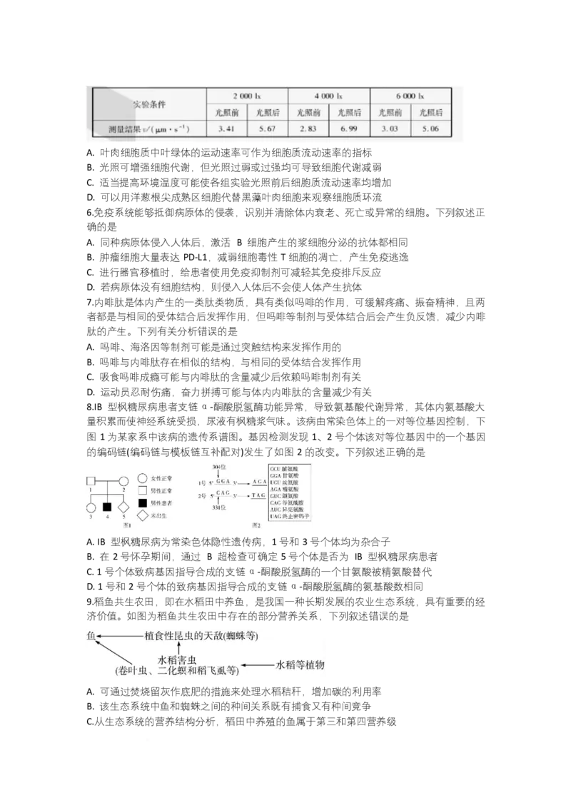 湖南省部分学校2024-2025学年高三下学期2月联考生物试题_2025年2月_250218湖南2025届高三天一大联考2月联考_湖南省天一大联考2024-2025学年高三下学期2月联考生物