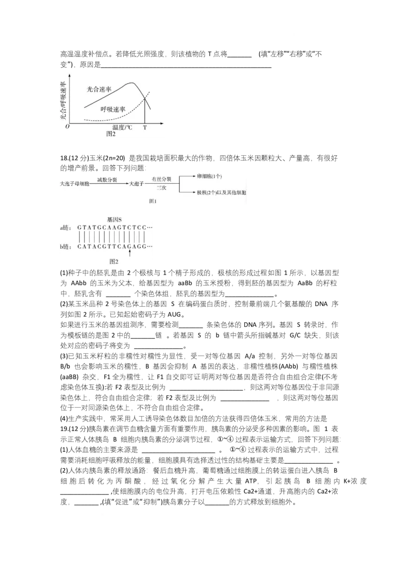 湖南省部分学校2024-2025学年高三下学期2月联考生物试题_2025年2月_250218湖南2025届高三天一大联考2月联考_湖南省天一大联考2024-2025学年高三下学期2月联考生物