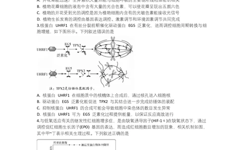 湖南省部分学校2024-2025学年高三下学期2月联考生物试题_2025年2月_250218湖南2025届高三天一大联考2月联考_湖南省天一大联考2024-2025学年高三下学期2月联考生物