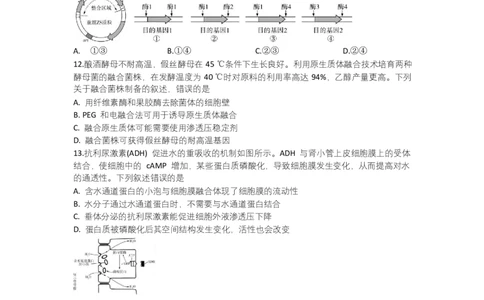 湖南省部分学校2024-2025学年高三下学期2月联考生物试题_2025年2月_250218湖南2025届高三天一大联考2月联考_湖南省天一大联考2024-2025学年高三下学期2月联考生物