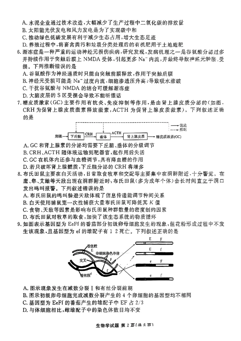 衡水金卷2025届高三1月期末联考生物+答案_2025年2月_250201衡水金卷2025届高三1月期末联考