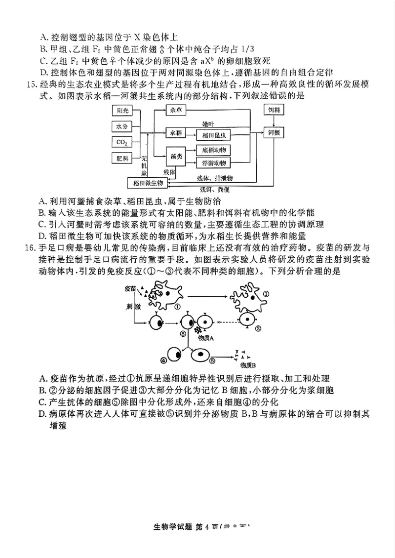 衡水金卷2025届高三1月期末联考生物+答案_2025年2月_250201衡水金卷2025届高三1月期末联考