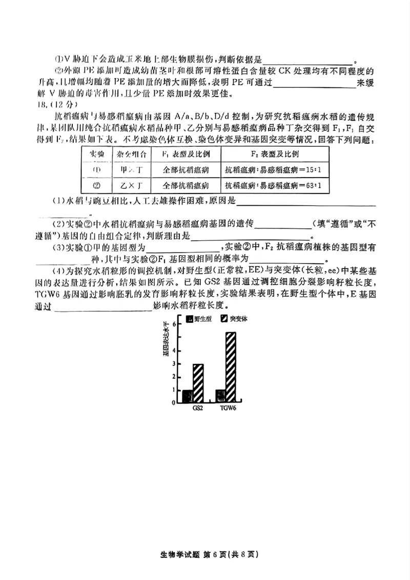 衡水金卷2025届高三1月期末联考生物+答案_2025年2月_250201衡水金卷2025届高三1月期末联考