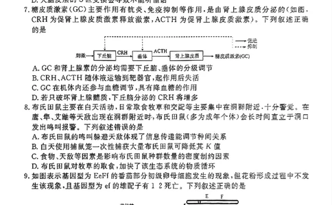 衡水金卷2025届高三1月期末联考生物+答案_2025年2月_250201衡水金卷2025届高三1月期末联考