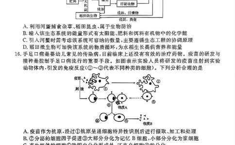 衡水金卷2025届高三1月期末联考生物+答案_2025年2月_250201衡水金卷2025届高三1月期末联考