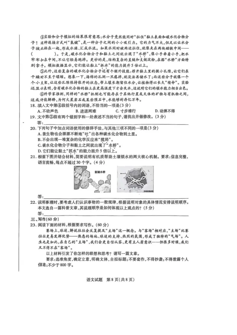 语文试卷-天一大联考2025-2026学年(上)高三天一小高考(一)_2025年10月_251026天一大联考2025-2026学年(上)高三年级天一小高考(一)（全科）