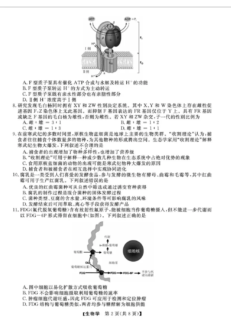 浙江省强基联盟2025届高三下学期5月联考生物试卷（含答案）_2025年5月_250510浙江省强基联盟2025届高三下学期5月联考（全科）