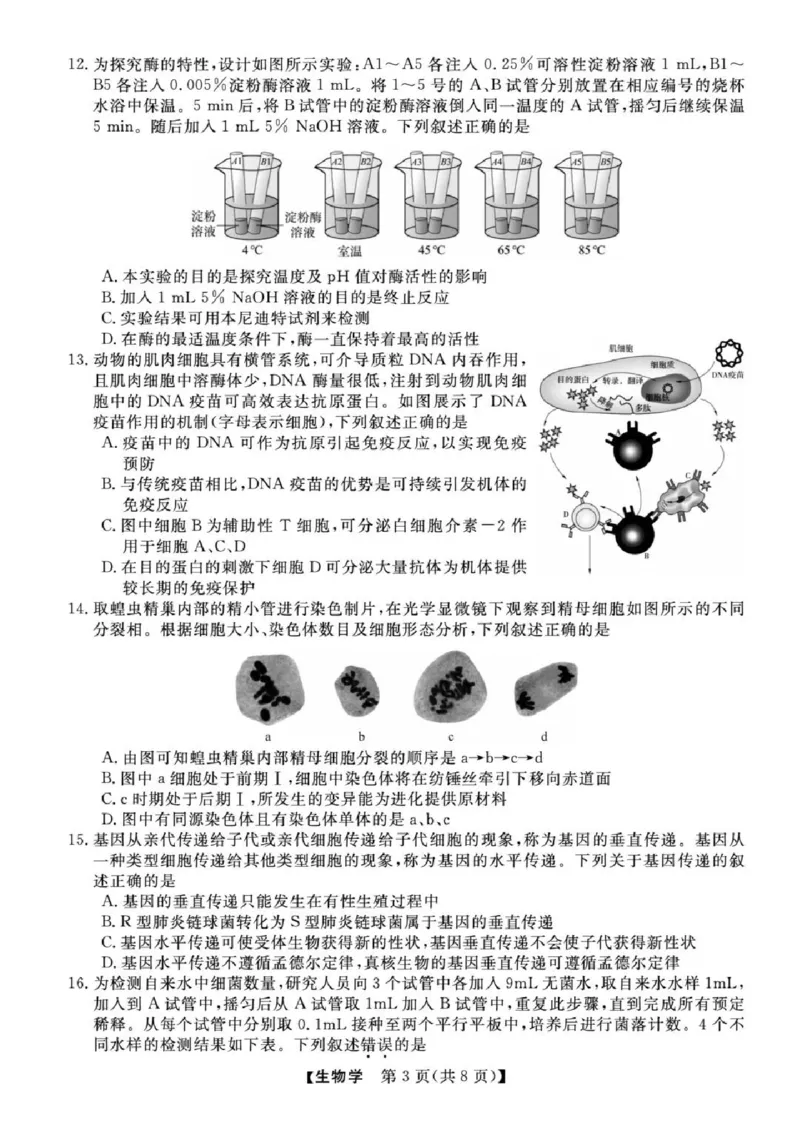 浙江省强基联盟2025届高三下学期5月联考生物试卷（含答案）_2025年5月_250510浙江省强基联盟2025届高三下学期5月联考（全科）
