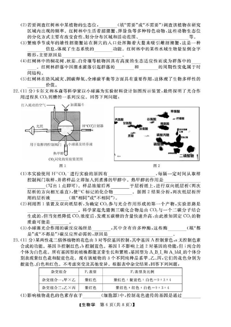 浙江省强基联盟2025届高三下学期5月联考生物试卷（含答案）_2025年5月_250510浙江省强基联盟2025届高三下学期5月联考（全科）