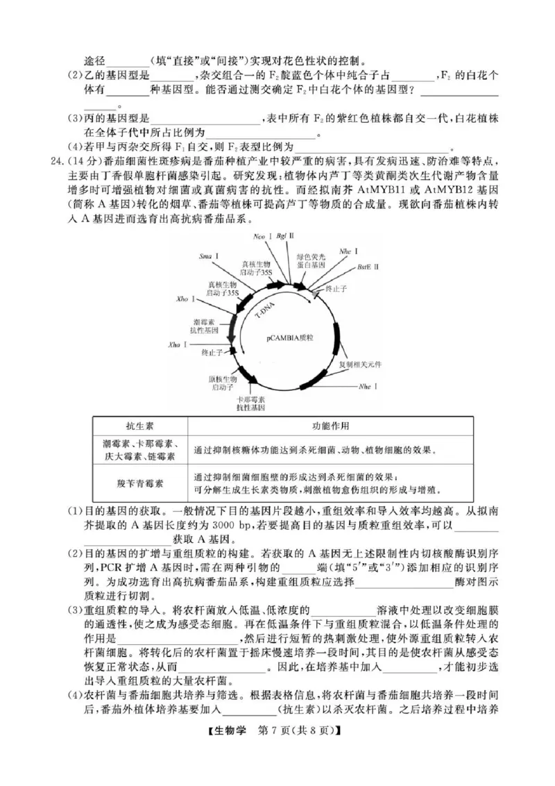 浙江省强基联盟2025届高三下学期5月联考生物试卷（含答案）_2025年5月_250510浙江省强基联盟2025届高三下学期5月联考（全科）