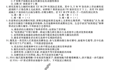 浙江省强基联盟2025届高三下学期5月联考生物试卷（含答案）_2025年5月_250510浙江省强基联盟2025届高三下学期5月联考（全科）