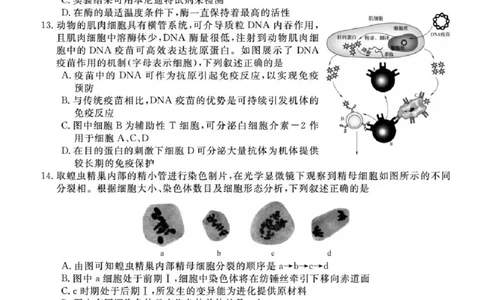 浙江省强基联盟2025届高三下学期5月联考生物试卷（含答案）_2025年5月_250510浙江省强基联盟2025届高三下学期5月联考（全科）