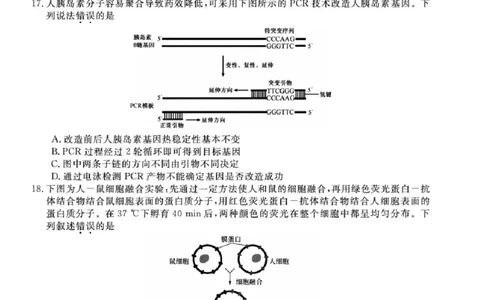 浙江省强基联盟2025届高三下学期5月联考生物试卷（含答案）_2025年5月_250510浙江省强基联盟2025届高三下学期5月联考（全科）