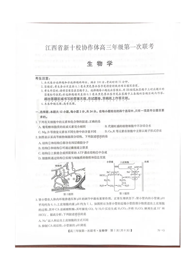 江西省新十校协作体2025-2026学年高三上学期第一次联考生物试卷（含答案）_2025年10月_251015江西省九师联盟新十校协作体2025-2026学年高三上学期第一次联考
