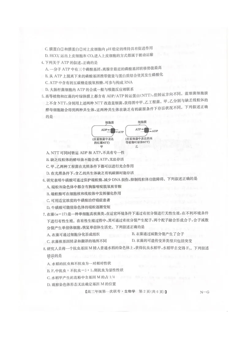 江西省新十校协作体2025-2026学年高三上学期第一次联考生物试卷（含答案）_2025年10月_251015江西省九师联盟新十校协作体2025-2026学年高三上学期第一次联考