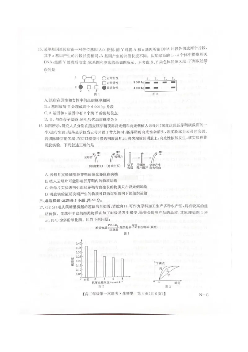 江西省新十校协作体2025-2026学年高三上学期第一次联考生物试卷（含答案）_2025年10月_251015江西省九师联盟新十校协作体2025-2026学年高三上学期第一次联考