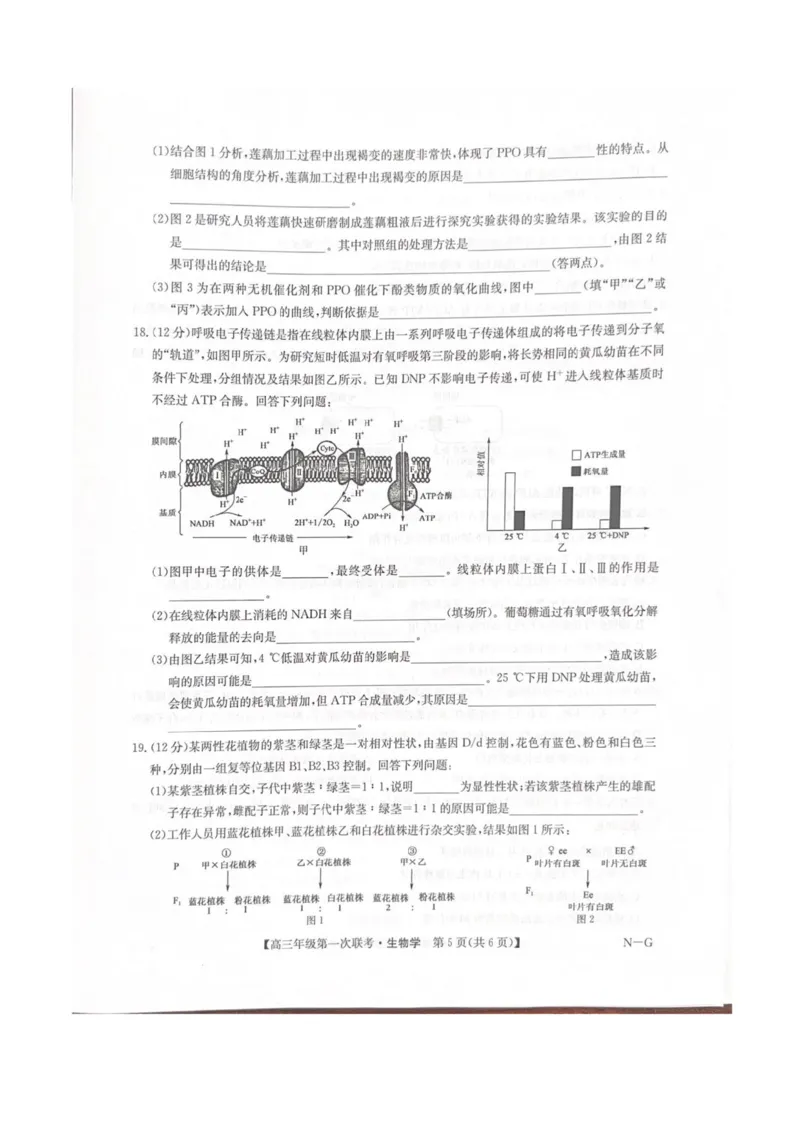 江西省新十校协作体2025-2026学年高三上学期第一次联考生物试卷（含答案）_2025年10月_251015江西省九师联盟新十校协作体2025-2026学年高三上学期第一次联考