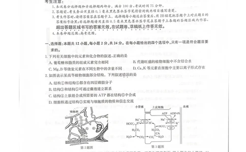 江西省新十校协作体2025-2026学年高三上学期第一次联考生物试卷（含答案）_2025年10月_251015江西省九师联盟新十校协作体2025-2026学年高三上学期第一次联考