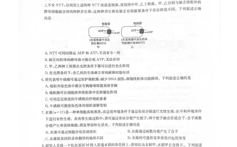 江西省新十校协作体2025-2026学年高三上学期第一次联考生物试卷（含答案）_2025年10月_251015江西省九师联盟新十校协作体2025-2026学年高三上学期第一次联考