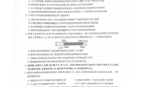 江西省新十校协作体2025-2026学年高三上学期第一次联考生物试卷（含答案）_2025年10月_251015江西省九师联盟新十校协作体2025-2026学年高三上学期第一次联考