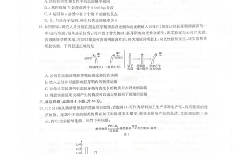 江西省新十校协作体2025-2026学年高三上学期第一次联考生物试卷（含答案）_2025年10月_251015江西省九师联盟新十校协作体2025-2026学年高三上学期第一次联考