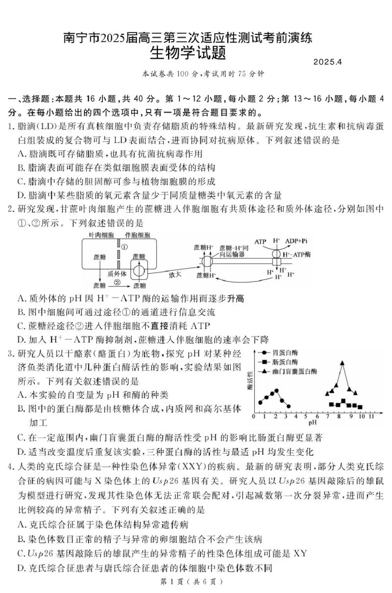 广西南宁市2025届高三第三次适应性测试生物试题（扫描版有解析）_2025年4月_250427广西南宁市2025届普通高中毕业班第二次适应性测试（全科）