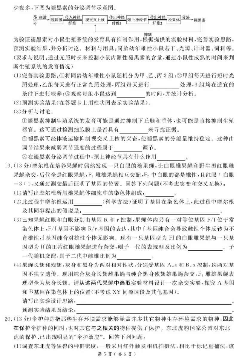 广西南宁市2025届高三第三次适应性测试生物试题（扫描版有解析）_2025年4月_250427广西南宁市2025届普通高中毕业班第二次适应性测试（全科）