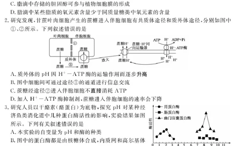 广西南宁市2025届高三第三次适应性测试生物试题（扫描版有解析）_2025年4月_250427广西南宁市2025届普通高中毕业班第二次适应性测试（全科）