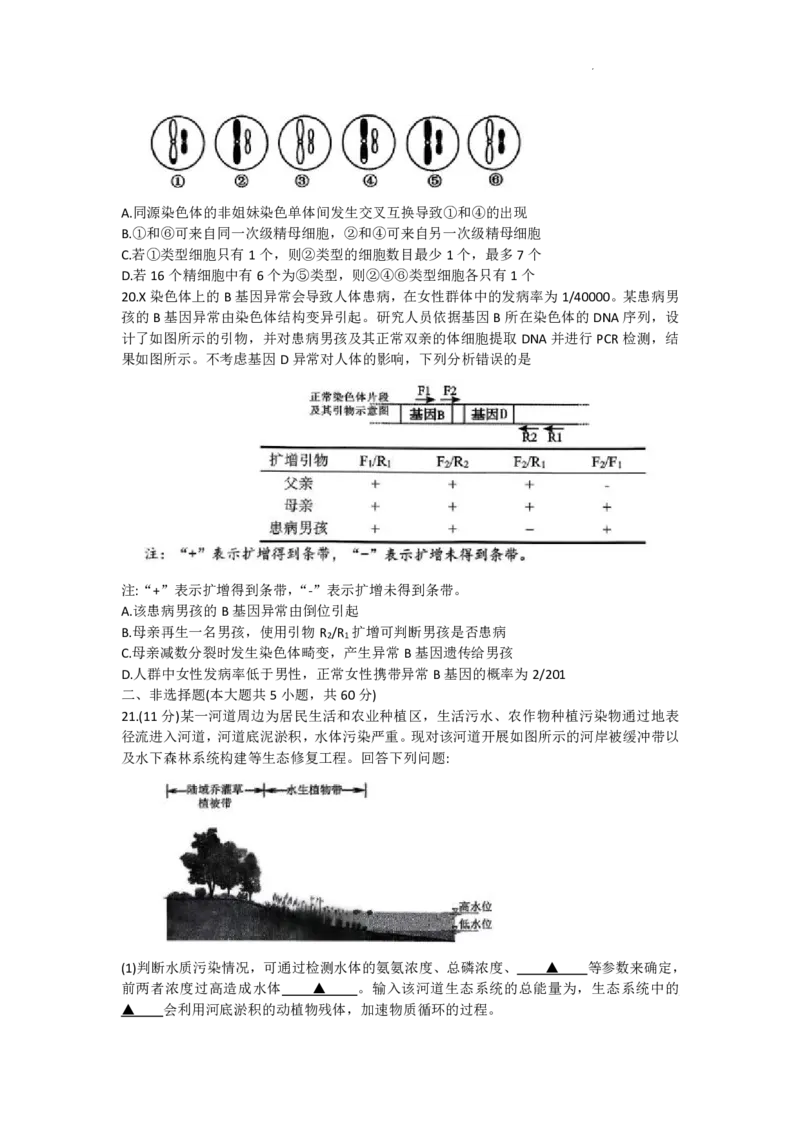浙江省天域全国名校协作体2026届高三上学期10月联考生物试题（含答案）_2025年10月_251013浙江省天域全国名校协作体2026届高三上学期10月联考（全科）