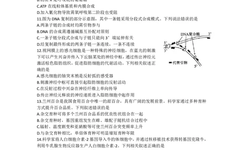 浙江省天域全国名校协作体2026届高三上学期10月联考生物试题（含答案）_2025年10月_251013浙江省天域全国名校协作体2026届高三上学期10月联考（全科）