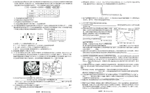 辽宁省县域重点高中2024-2025学年高三下学期二模考试生物试卷+答案_2025年4月_250401辽宁省县域重点高中2024-2025学年高三下学期二模考试