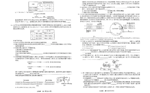 辽宁省县域重点高中2024-2025学年高三下学期二模考试生物试卷+答案_2025年4月_250401辽宁省县域重点高中2024-2025学年高三下学期二模考试