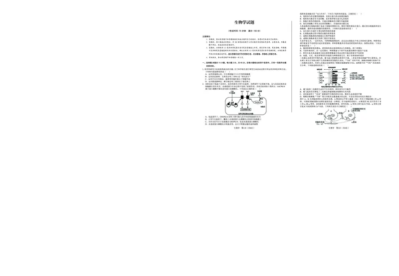 生物_2025年5月_250526安徽省合肥一中2025届高三最后一卷（全科）_安徽省合肥市第一中学2025届高三下学期最后一卷生物