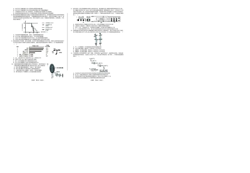 生物_2025年5月_250526安徽省合肥一中2025届高三最后一卷（全科）_安徽省合肥市第一中学2025届高三下学期最后一卷生物