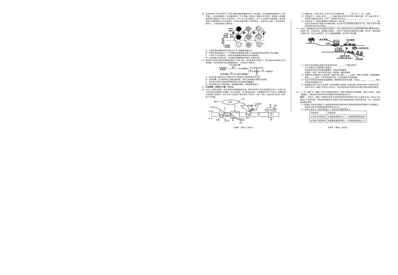 生物_2025年5月_250526安徽省合肥一中2025届高三最后一卷（全科）_安徽省合肥市第一中学2025届高三下学期最后一卷生物