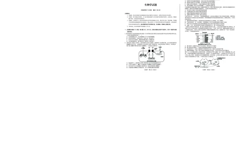 生物_2025年5月_250526安徽省合肥一中2025届高三最后一卷（全科）_安徽省合肥市第一中学2025届高三下学期最后一卷生物