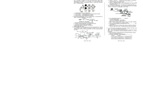 生物_2025年5月_250526安徽省合肥一中2025届高三最后一卷（全科）_安徽省合肥市第一中学2025届高三下学期最后一卷生物