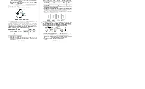 生物_2025年5月_250526安徽省合肥一中2025届高三最后一卷（全科）_安徽省合肥市第一中学2025届高三下学期最后一卷生物